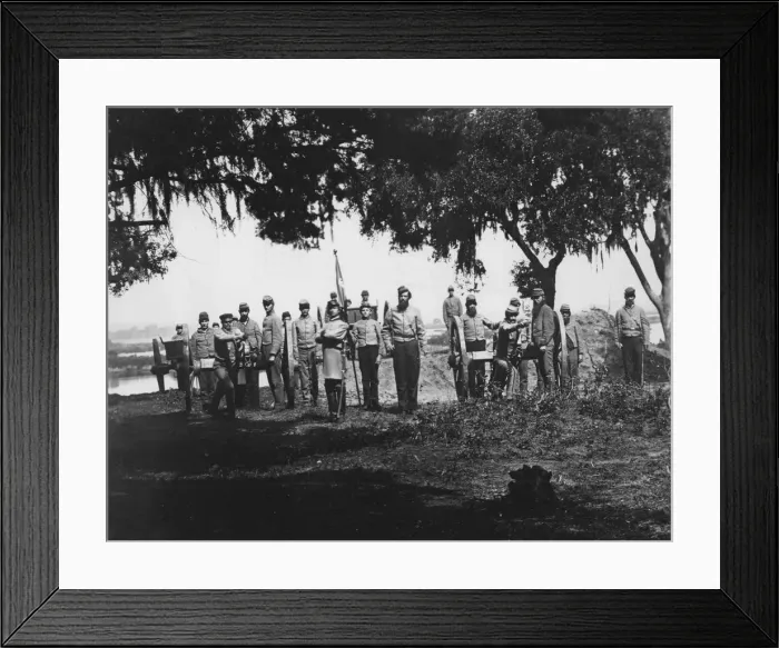 Framed Print : Palmetto Battery