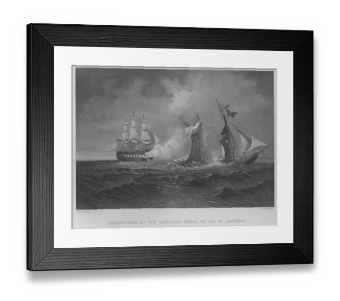 Framed Print : Privateer Petrel Framed Print : Privateer Petrel