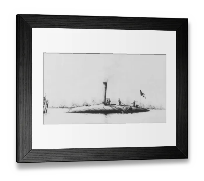 Framed Print : Armoured Ram Framed Print : Armoured Ram