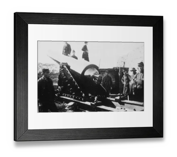 Framed Print : Parrot Rifle Framed Print : Parrot Rifle