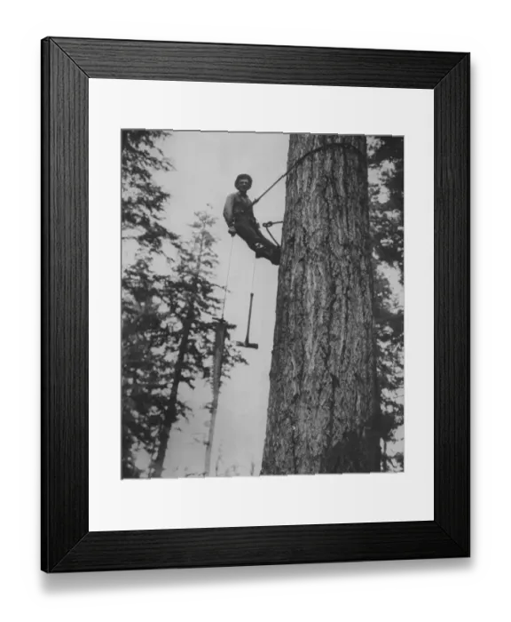 Framed Print : High Climber Framed Print : High Climber