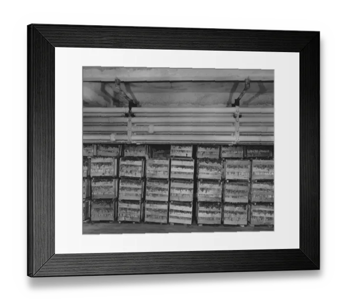 Framed Print : Crates Of Vegetables Framed Print : Crates Of Vegetables