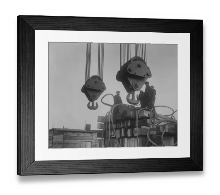 Framed Print : Suspension Crane Framed Print : Suspension Crane