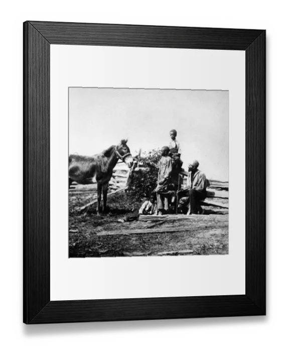 Framed Print : Slaves in a field with a horse during the US civil war circa 1861 Framed Print : Slaves in a field with a horse during the US civil war circa 1861