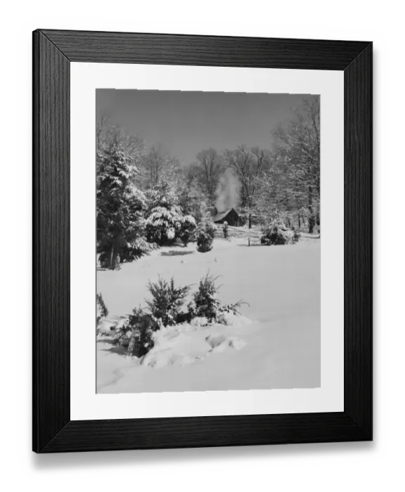Framed Print : The Cabin In The Woods