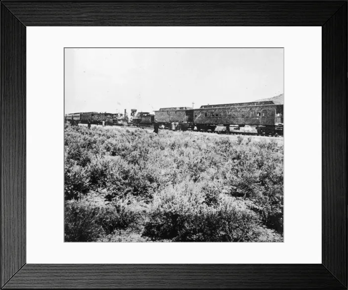Framed Print : Golden Spike Ceremony Framed Print : Golden Spike Ceremony