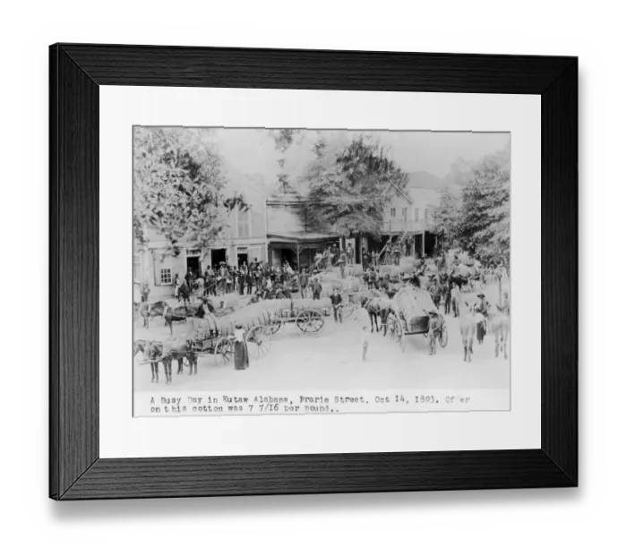 Framed Print : Selling Cotton