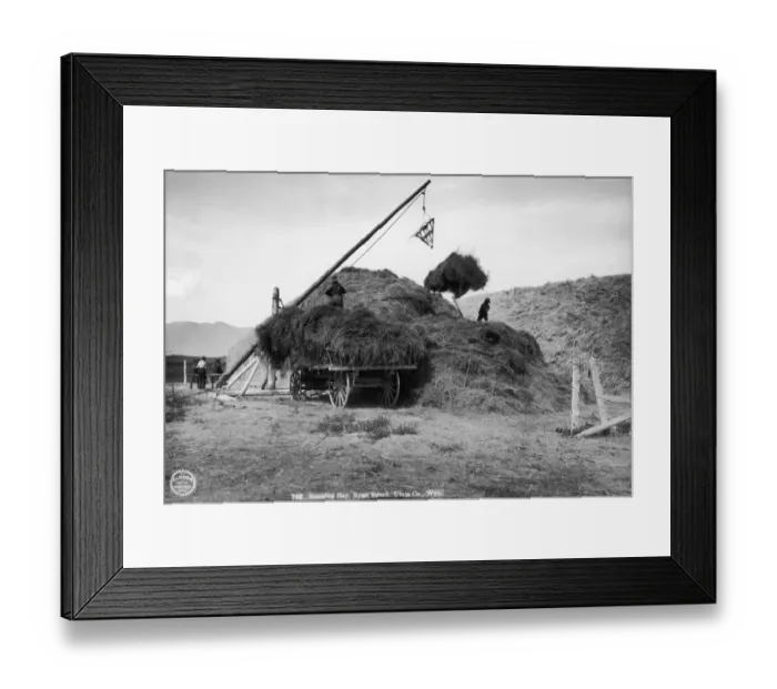 Framed Print : Stacking Hay Framed Print : Stacking Hay
