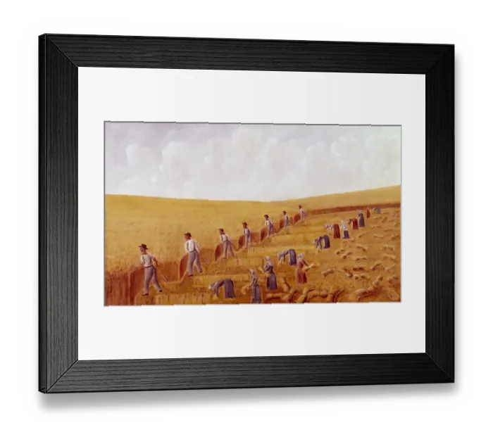 Framed Print : Harvesting Framed Print : Harvesting