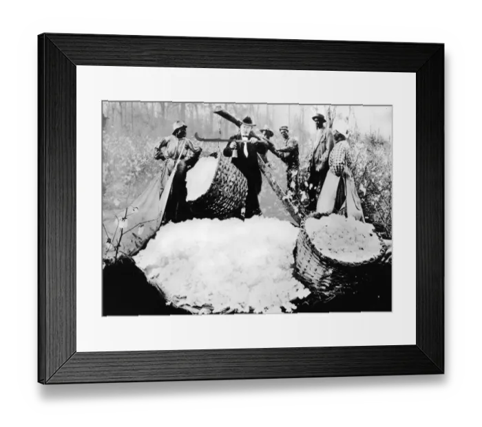 Framed Print : Man Weighs Cotton Bales Framed Print : Man Weighs Cotton Bales
