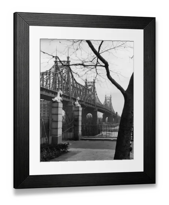 Framed Print : Queensboro Bridge Framed Print : Queensboro Bridge