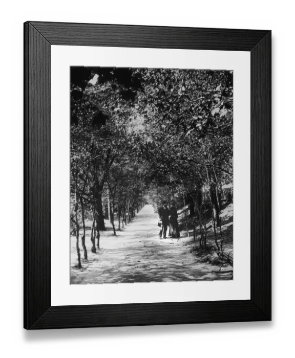 Framed Print : Walking Out Framed Print : Walking Out