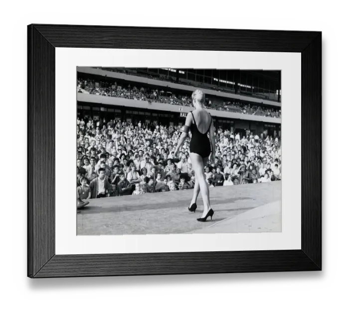 Framed Print : Beauty contest Framed Print : Beauty contest