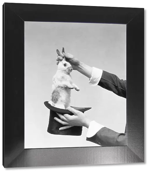 Magician pulling rabbit out of hat