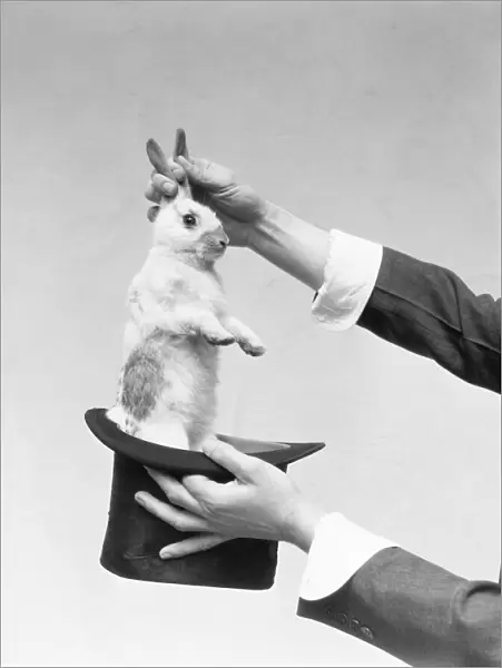 Magician pulling rabbit out of hat