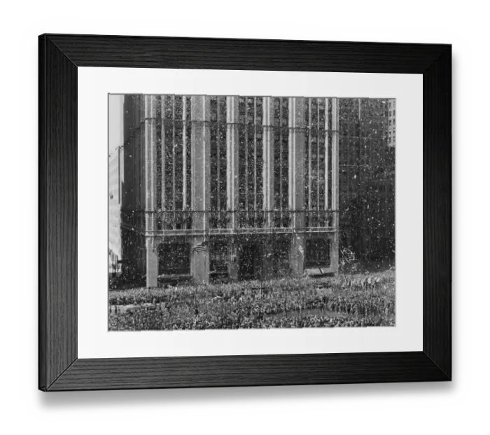 Framed Print : Ticker tape parade