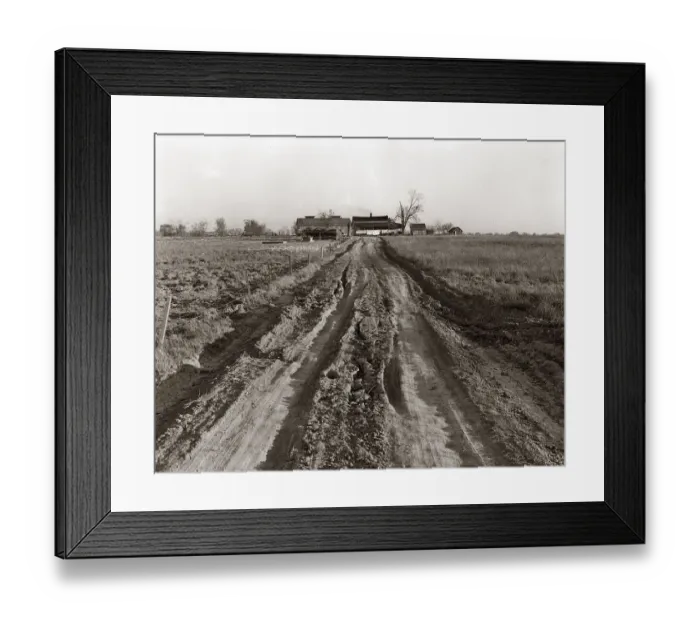 Framed Print : Dirt Road Leading Up To Old Farm House Surrounded Framed Print : Dirt Road Leading Up To Old Farm House Surrounded