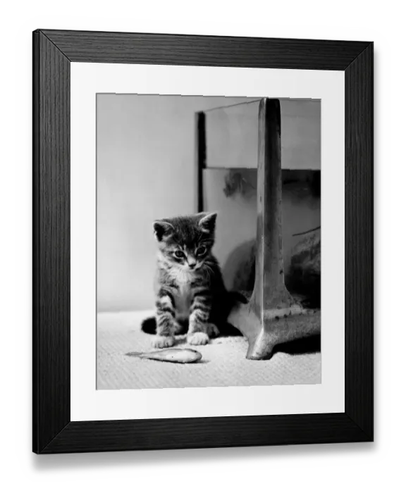 Framed Print : Gone fishing Framed Print : Gone fishing