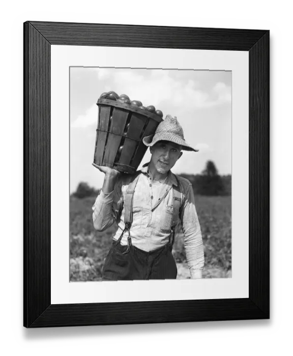 Framed Print : Farmhand Wearing A Placard Front Shirt Pin Stripe Framed Print : Farmhand Wearing A Placard Front Shirt Pin Stripe