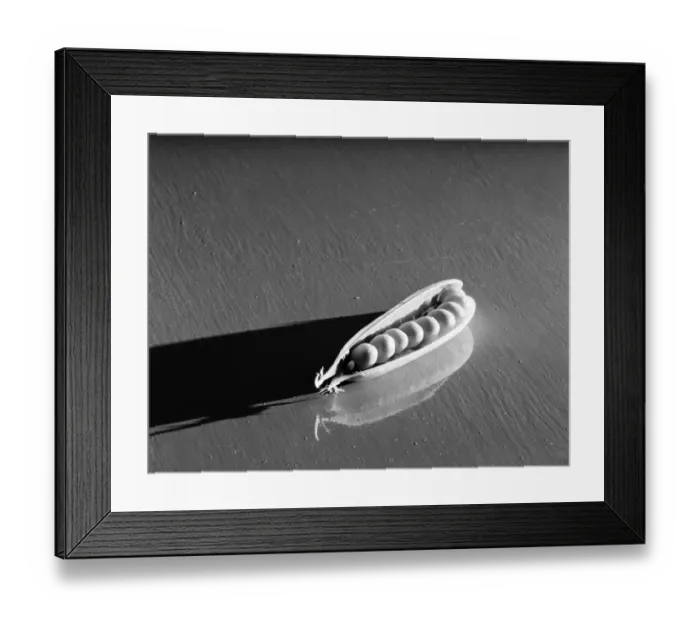 Framed Print : Peas in a pod Framed Print : Peas in a pod