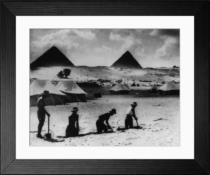 Framed Print : Desert Army Framed Print : Desert Army
