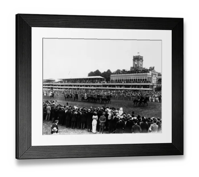 Framed Print : Royal Drive Framed Print : Royal Drive