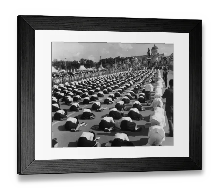 Framed Print : Royal Subjects Framed Print : Royal Subjects