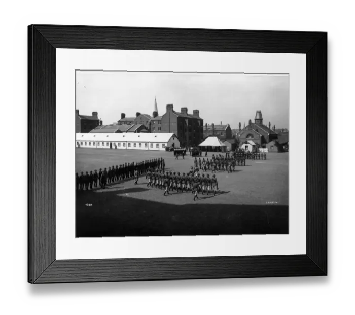 Framed Print : Marching Parade Framed Print : Marching Parade
