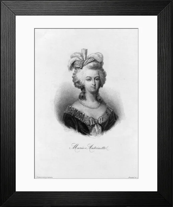 Framed Print : Regal Portrait Framed Print : Regal Portrait