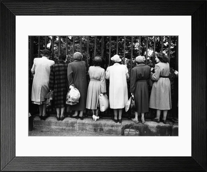 Framed Print : Royal Spectators Framed Print : Royal Spectators