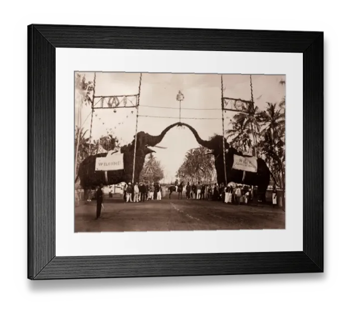 Framed Print : Royal Visit Framed Print : Royal Visit