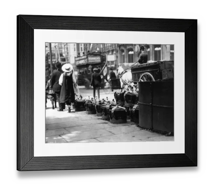 Framed Print : Crown Decorations Framed Print : Crown Decorations