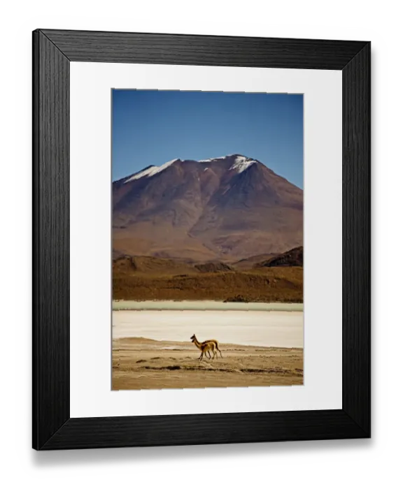 Framed Print : Two with snowcapped mountain Framed Print : Two with snowcapped mountain