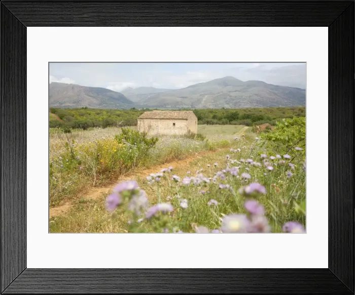 Framed Print : View countryside Framed Print : View countryside