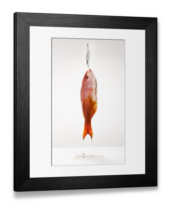 Framed Print : Red snapper on fish hook covered in oil Framed Print : Red snapper on fish hook covered in oil