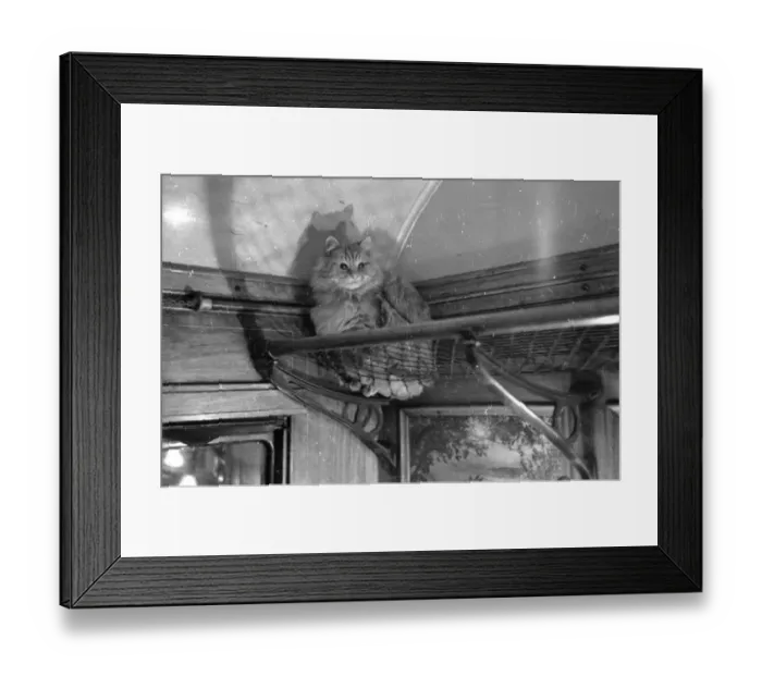 Framed Print : Top Of The Train Framed Print : Top Of The Train