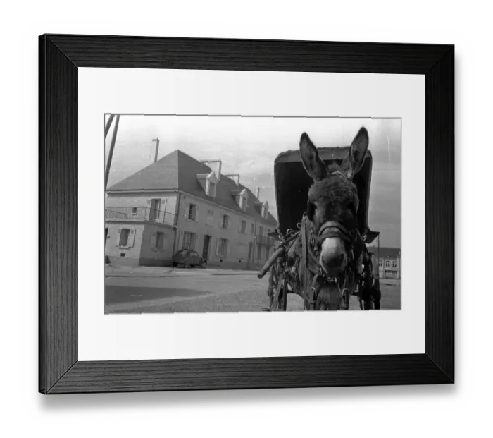 Framed Print : Donkey Ride Framed Print : Donkey Ride
