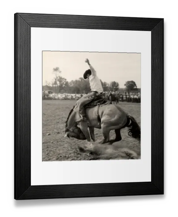 Framed Print : Man riding bucking bronco