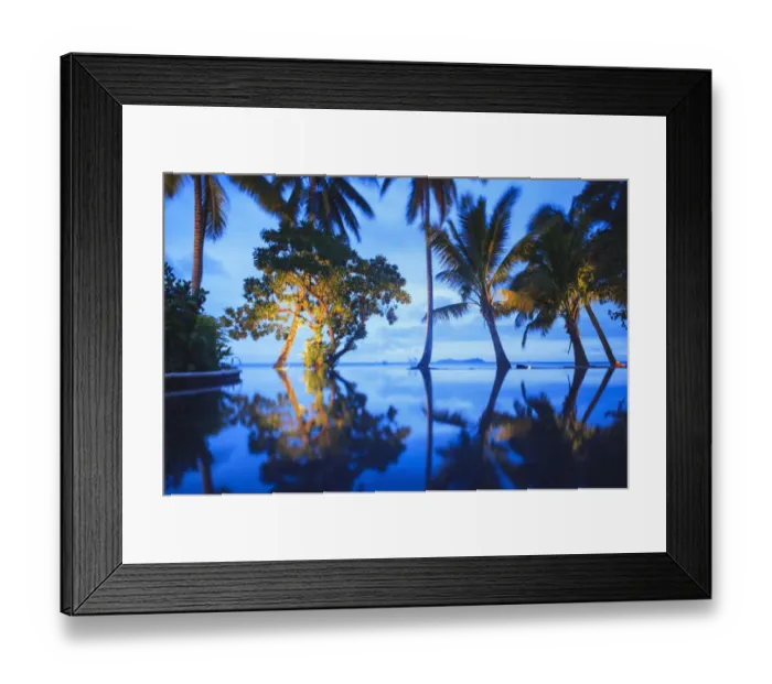 Framed Print : Palm trees reflected in still lake Framed Print : Palm trees reflected in still lake