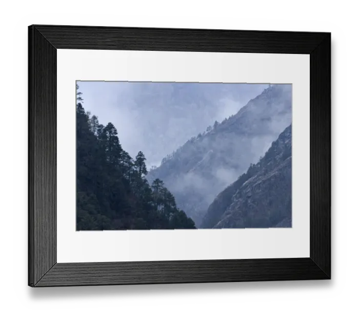 Framed Print : Trees growing on rural hillsides Framed Print : Trees growing on rural hillsides