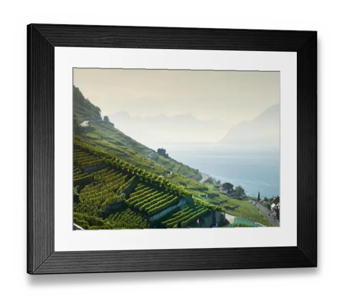 Framed Print : Terraced vineyards on rural hillside Framed Print : Terraced vineyards on rural hillside