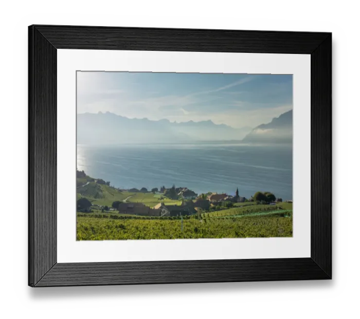 Framed Print : Terraced vineyards on rural hillside Framed Print : Terraced vineyards on rural hillside