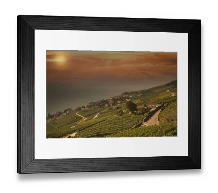 Framed Print : Terraced vineyards on rural hillside Framed Print : Terraced vineyards on rural hillside