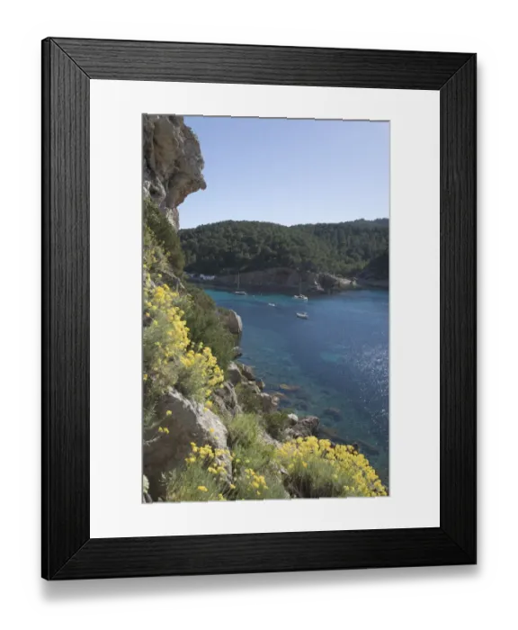 Framed Print : Plants on cliff overlooking ocean Framed Print : Plants on cliff overlooking ocean