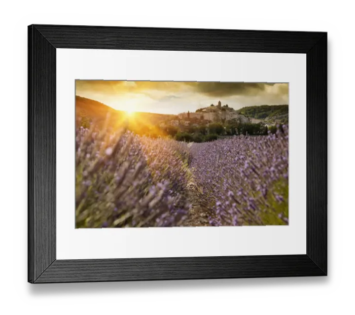 Framed Print : Castle overlooking field of flowers Framed Print : Castle overlooking field of flowers