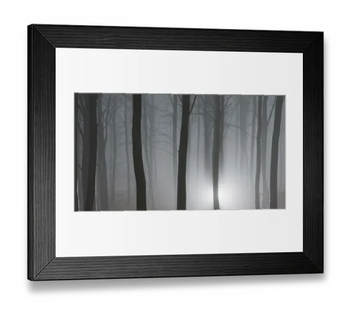 Framed Print : Misty winter forest in Denmark Framed Print : Misty winter forest in Denmark