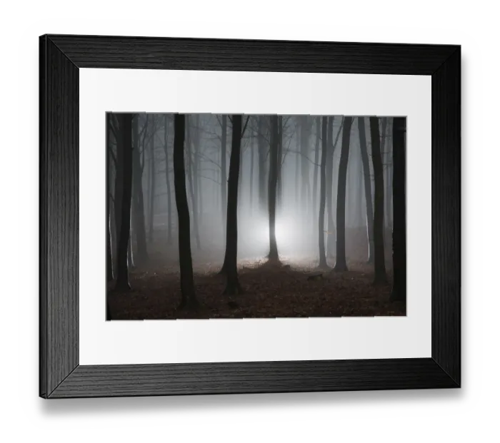 Framed Print : Misty winter forest in Denmark Framed Print : Misty winter forest in Denmark