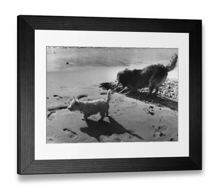 Framed Print : On The Beach Framed Print : On The Beach