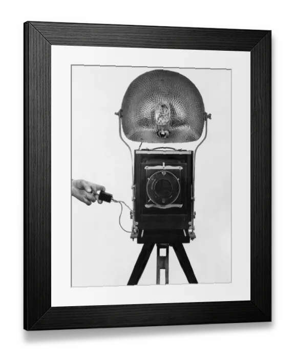 Framed Print : Sashalite System Framed Print : Sashalite System