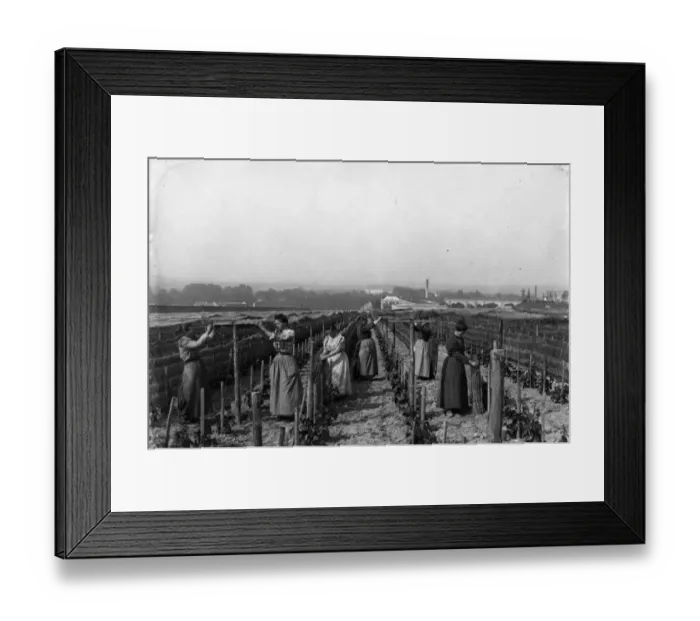 Framed Print : Anti Freeze Framed Print : Anti Freeze